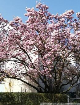 Ideales Haus für eine Familie in Feldrandlage! - Stutensee
