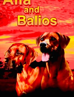 Rhodesain Ridgeback Welpen - Rippershausen