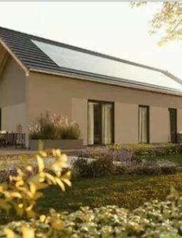 Der Moderne Bungalow - Rosche