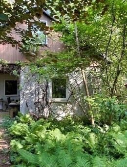 DORNRÖSCHENSCHLAF - Haus in Biesenthal-Danewitz auf Waldgrundstück sucht den "Aufwachkuss" - Biesenthal