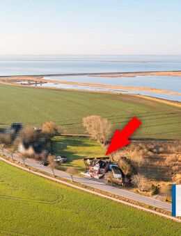 Ausnahmegrundstück! - 3.000m² beim Hafen Orth mit herrlichem Ausblick - Fehmarn