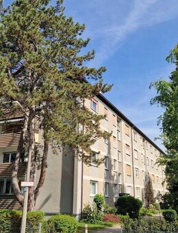Helle komplett sanierte 3 Zimmerwohnung in Nürnberg Großreuth zum Erstbezug - Nürnberg