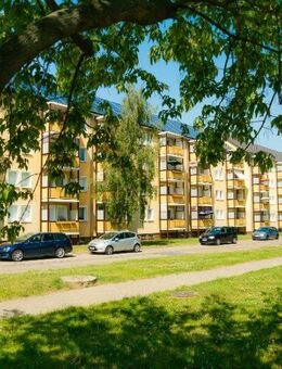3-Raumwohnung im Grünen! - Riesa