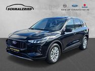 Ford Kuga, Titanium Blendfreies Fernl digitales, Jahr 2024 - Bremerhaven