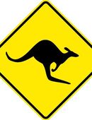 Suche Kängurus wer gibt Tiere ab ? in 70173