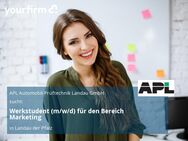 Werkstudent (m/w/d) für den Bereich Marketing - Landau (Pfalz)