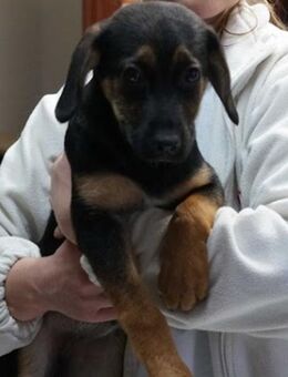 Verona ❤️ - Burgsinn