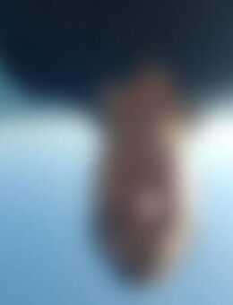 Jek*** - Rheinstetten