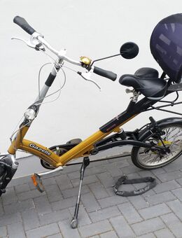 Gazelle Sesselrad 'Easy Glider' - Oldenburg