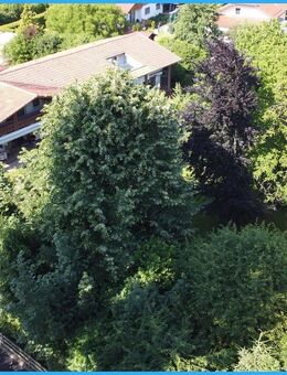 DIPL.-Immowirt MAIER !! Tolles Wohnen u. Firmensitz samt Appartements und viel Platz für ihre Hobbys - Pocking