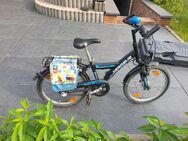 Kinder fahrrad 20 zoll Pegasus - Korschenbroich