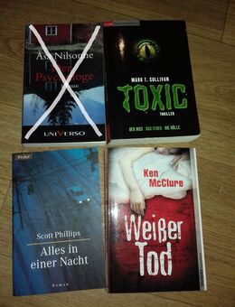 Mark T.Sullivan-Toxic ,Scott Phillips-Alles in einer Nacht (Mängelexemplar)und Ken McClure-Weisser Tod   TB - Euskirchen
