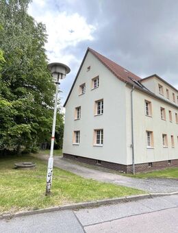 Mit Pinsel und Farbe zum Wohnglück+2 Monate Kaltmiete geschenkt - Hainichen (Sachsen)