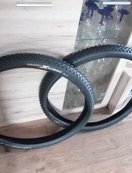 Continental X-King ProTection 29 x 2.4 Reifen - Dortmund