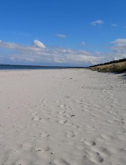 Rügen: Ferienwohnung direkt am Strand, Meerblick - Breege
