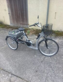 Dreirad E-Bike – Neuwertig, kaum genutzt - Schwerte (Hansestadt an der Ruhr) Zentrum