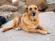 Tolle Gerda sucht ihre Familie - Duisburg