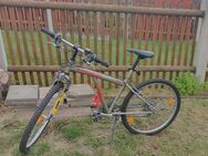 Muss dieses Mountainbike aus Gesundheitlichen Gründen verkaufen - Sebnitz