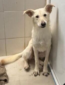 CORY - taut auf, fasst Vertrauen - Velbert