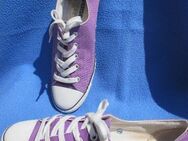 NEU * Damen * Sport * Freizeit * Canvas * Stoff * Chuck * Taylor All Star Dainty Ox * Sneaker * Schnür- Schuhe "Converse All Star" ORIGINAL * Gr. 38,5 = 5,5 * 7½ * lila * violett * veilchen * - Riedlingen