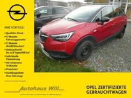 Opel Crossland, Innovation, Jahr 2020 - Blankenburg (Harz)