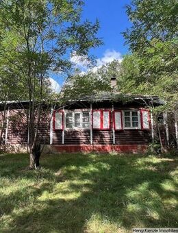 Idyllisches Wald-, Wiesen- und Wohngrundstück in Medingen bei Dresden - Ottendorf-Okrilla