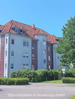 Vermietete 3-Raumwohnung in Stralsund - Viermorgen zu verkaufen! - Stralsund