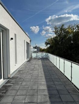 BEST OF RÖDELHEIM: Penthouse mit Aufzug und riesiger Dachterrasse, bis zu 5 Schlafzimmer! - Frankfurt (Main)