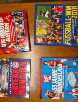 Alles über den FC Bayern München - Fellbach