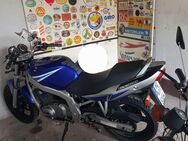 Suzuki GS500U - Hof