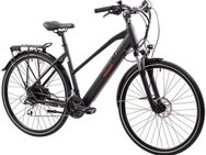 Tretwerk E-Bike Trekkingrad Seville 5.0, 24 Gang Shimano, Kettenschaltung, Heckmotor, 418 Wh, Pedelec, Elektrofahrrad für Damen u. Herren