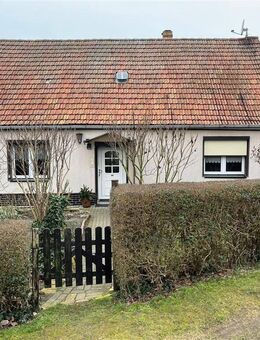 Kleines Einfamilienhaus in idyllischer Lage - Dommitzsch