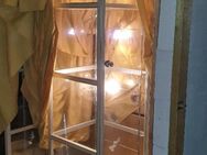 Glasvitrine mit Beleuchtung, 2 Stück, Vitrine, Schrank, Spind, - Hamburg Altstadt