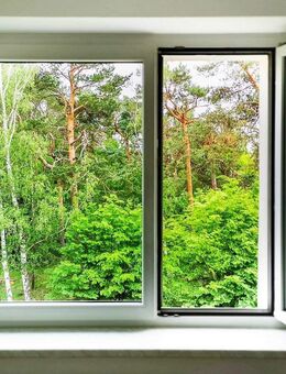 1 Zimmer-Wohnung in Knappenrode - Hoyerswerda