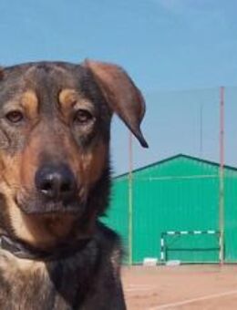 Lima wartet auf ihre Menschen - München