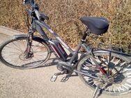 Focus e-bike 28 Zoll Räder Rahmenhöhe ca.52 cm - Nürtingen