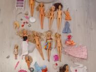 Verschiedene Barbie Puppen mit Zubehör - Teutschenthal