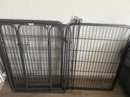 Welpengehege 8Teile - Detmold