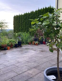 Großzügige helle Gartenwohnung mit Split-Level - Landshut