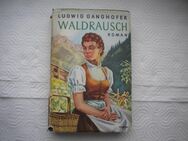 Waldrausch,Ludwig Ganghofer,Droemer Knaur Verlag - Linnich