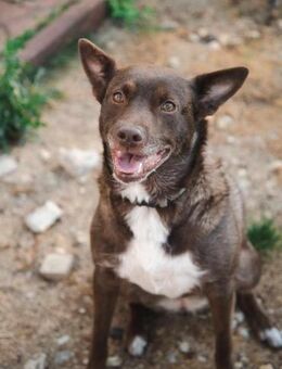 Francesca, Wo darf sie ankommen 🙏♥️♥️ - München