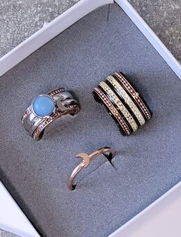 IXXXI Ringe Set | Konvolut | GR 18 | 2 Basisringe + 7 Füllringe | NEU | NO18A - Althengstett