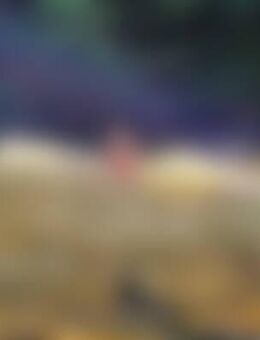 Mep*** - Leer (Ostfriesland)