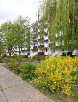 Wir sanieren für Sie - wohlfühlen ab Februar 2026 - Magdeburg