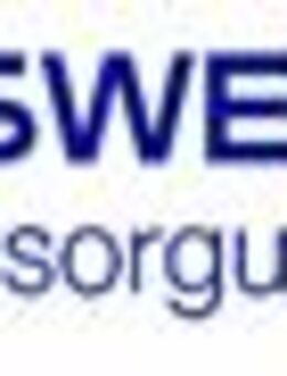 Elektromonteur für moderne Messeinrichtungen & intelligente Messysteme (m/w/d) - Wiesbaden