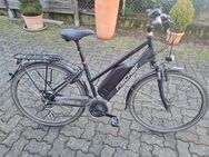 E Bike Fischer - Niestetal
