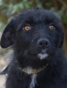 Litschi - liebenswert & freundlich - Lohmar