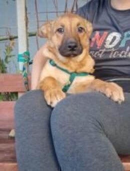 Wer öffnet sein Herz für Tamani ? - München