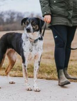 Olivia - die gelassene Schöne - Berlin