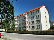 Preiswert und gut geschnitten - Thale